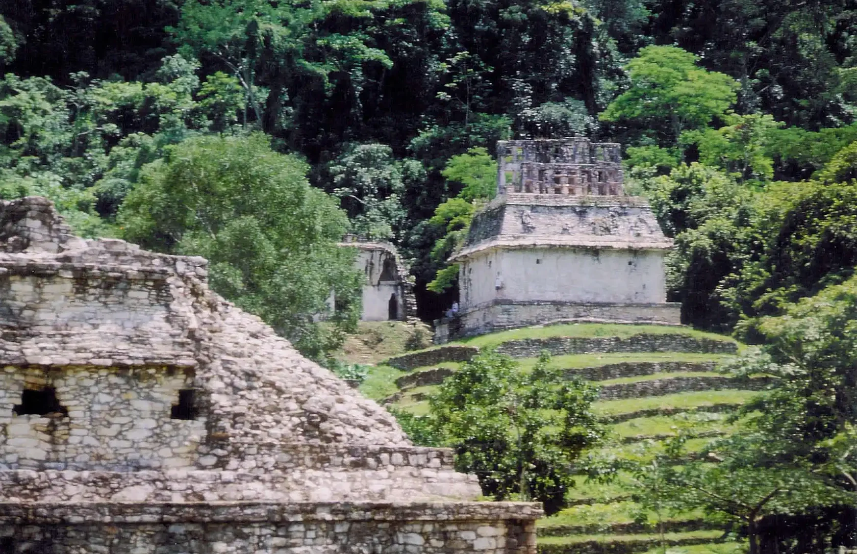 Centraal_Amerika_mexico1-palenque-maya-sitenque-maya-siterika_mexico1-palenque-maya-sitenque-maya-site Centraal_Amerika_mexico1-palenque-maya-sitenque-maya-siterika_mexico1-palenque-maya-sitenque-maya-site